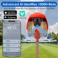 Generic Smart AI outdoor solar bird feeder wide-angle camera captures every perch.