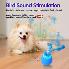 Generic Interactive Dog Ball USB-C recharge port enables quick top-ups.