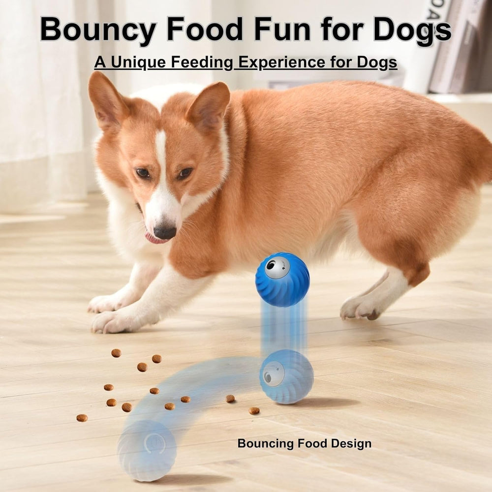 Generic Zoomie Buddy 2.0 blue color helps quick spotting during outdoor adventures