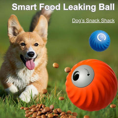 Generic Zoomie Buddy 2.0 plush fruit-cover adds tactile fun during toy play