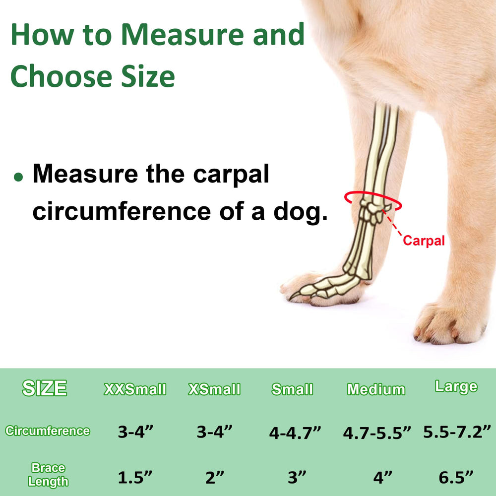 GenetGo dog front leg brace arthritis support helps comfort during daily activities