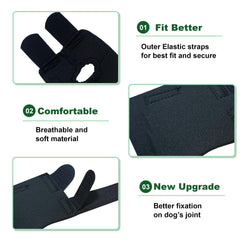 GenetGo dog front leg brace on dog paw demonstrates a stable, secure fit