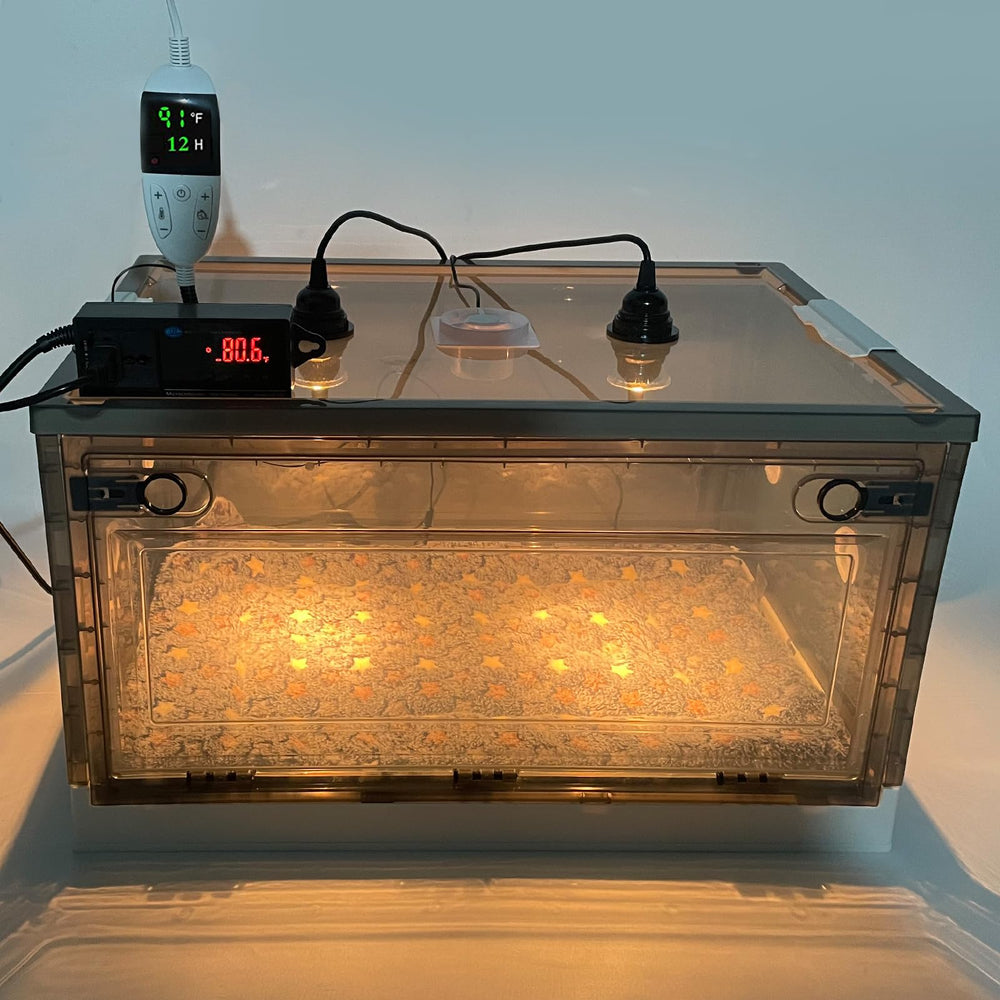 Geniprem Puppy Incubator Nebulizer ports support oxygen or nebulization care.