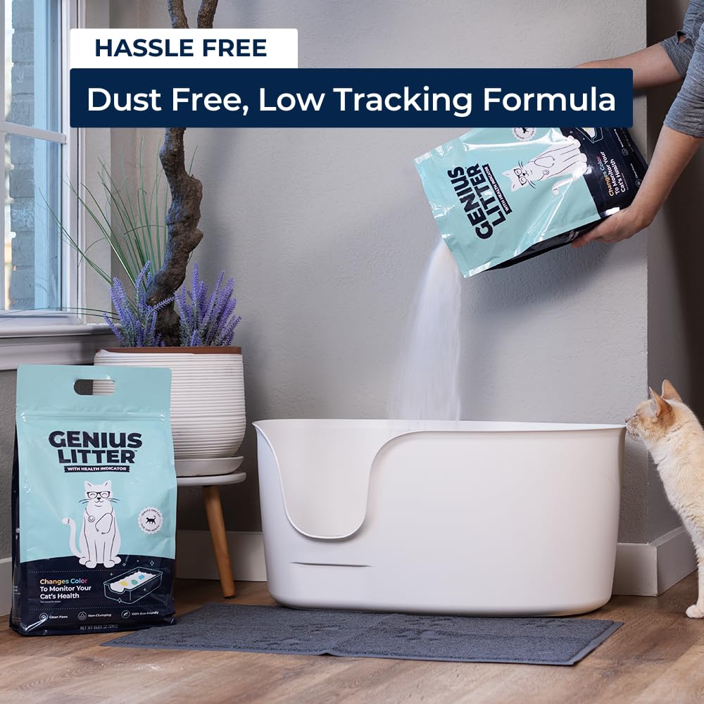 Genius Litter dust-free formula reduces paw tracking on floors