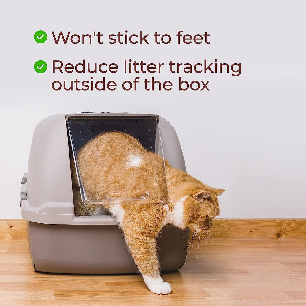 Genius Litter multi-cat use-case showing shared litter box