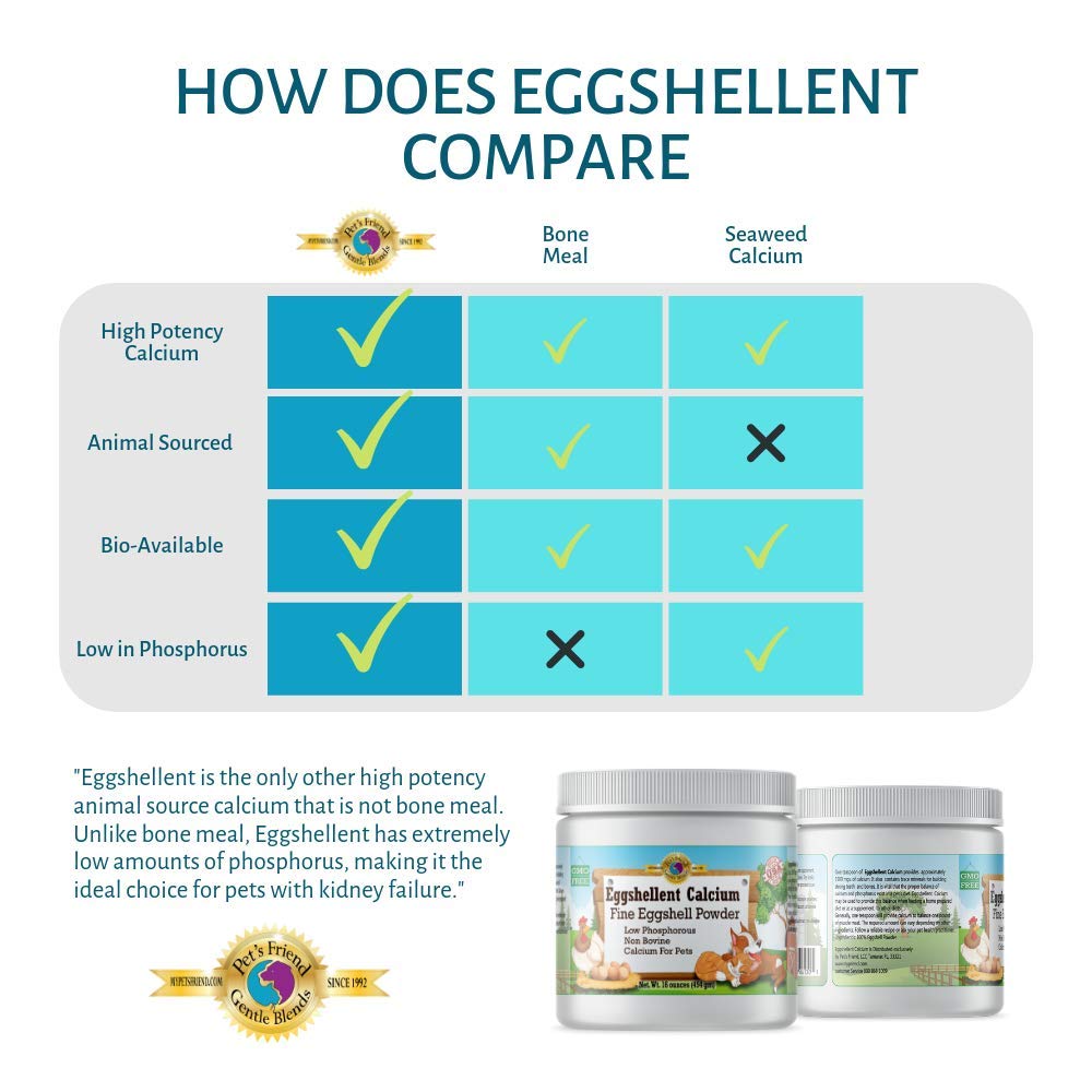 Gentle Blends Pet's Friend eggshellent calcium powder close-up reveals ultra-fine texture
