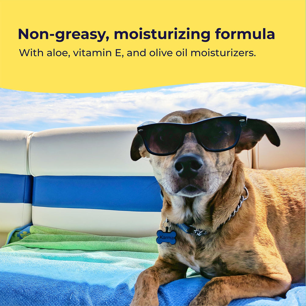Gentle Creatures dog sunscreen used outdoors at the beach for pets.