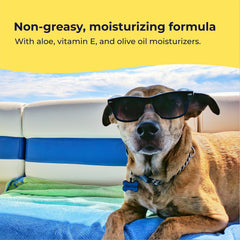 Gentle Creatures dog sunscreen used outdoors at the beach for pets.