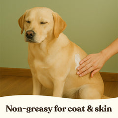 Gentle Creatures leave-in conditioner lotion coat-soft image highlights a shiny, healthy-looking fur.