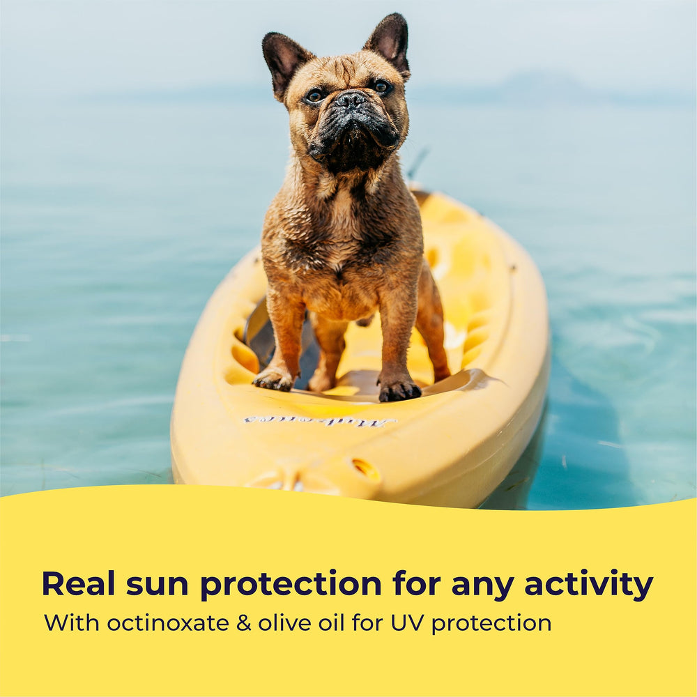 Gentle Creatures sunscreen made in USA facility.