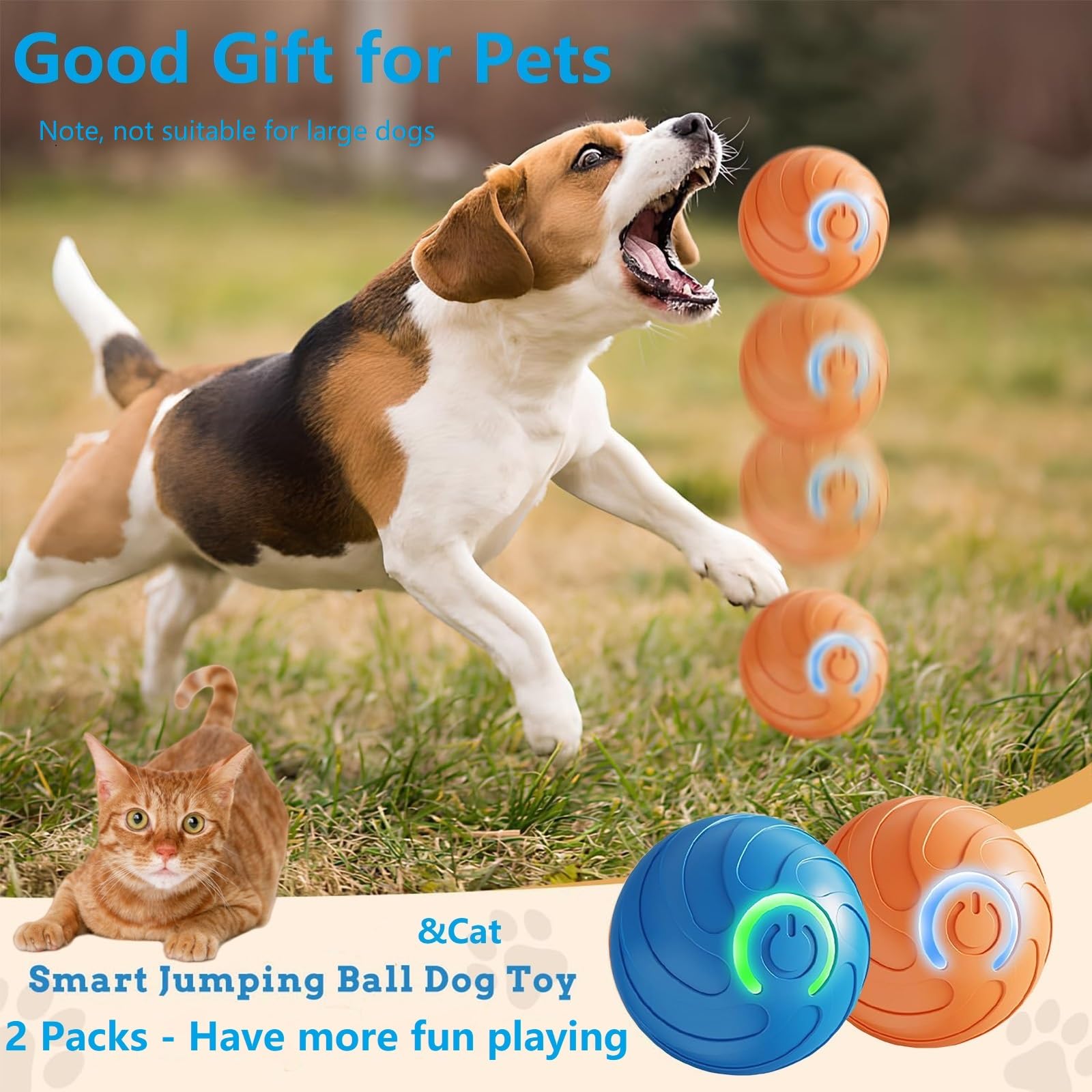 Geojec Duraspin ball movement path captures unpredictable pet motion.