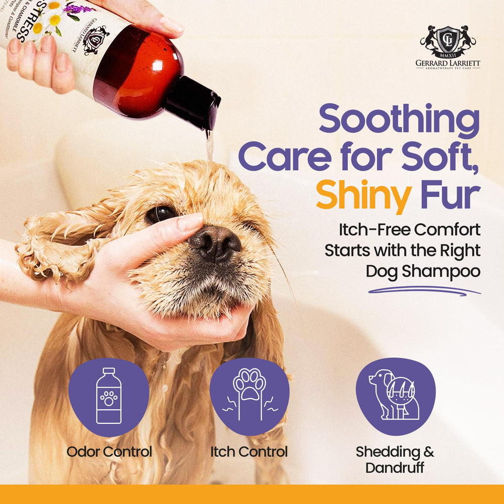 Gerrard Larriett bath-time dog session shows gentle lather for sensitive skin.