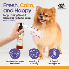 Gerrard Larriett Dog Perfume Spray application on coat for easy daily fragrance boost