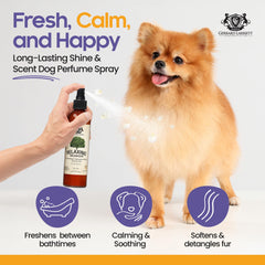 Gerrard Larriett dog perfume Wildwoods applied on fur during grooming for calming aroma