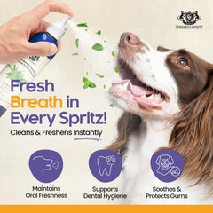Gerrard Larriett mouthspray for dogs and cats application for quick breath refresh.