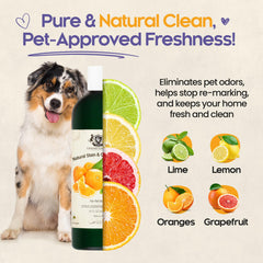 Gerrard Larriett Pet Care floor cleaning scene highlights safe wood surfaces and odor control