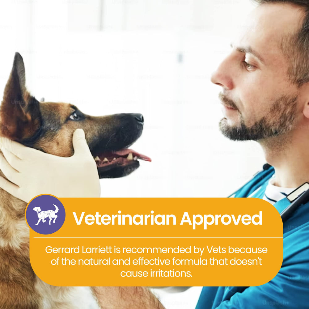 Gerrard Larriett puppy-friendly formula is suitable for young dogs' coats.