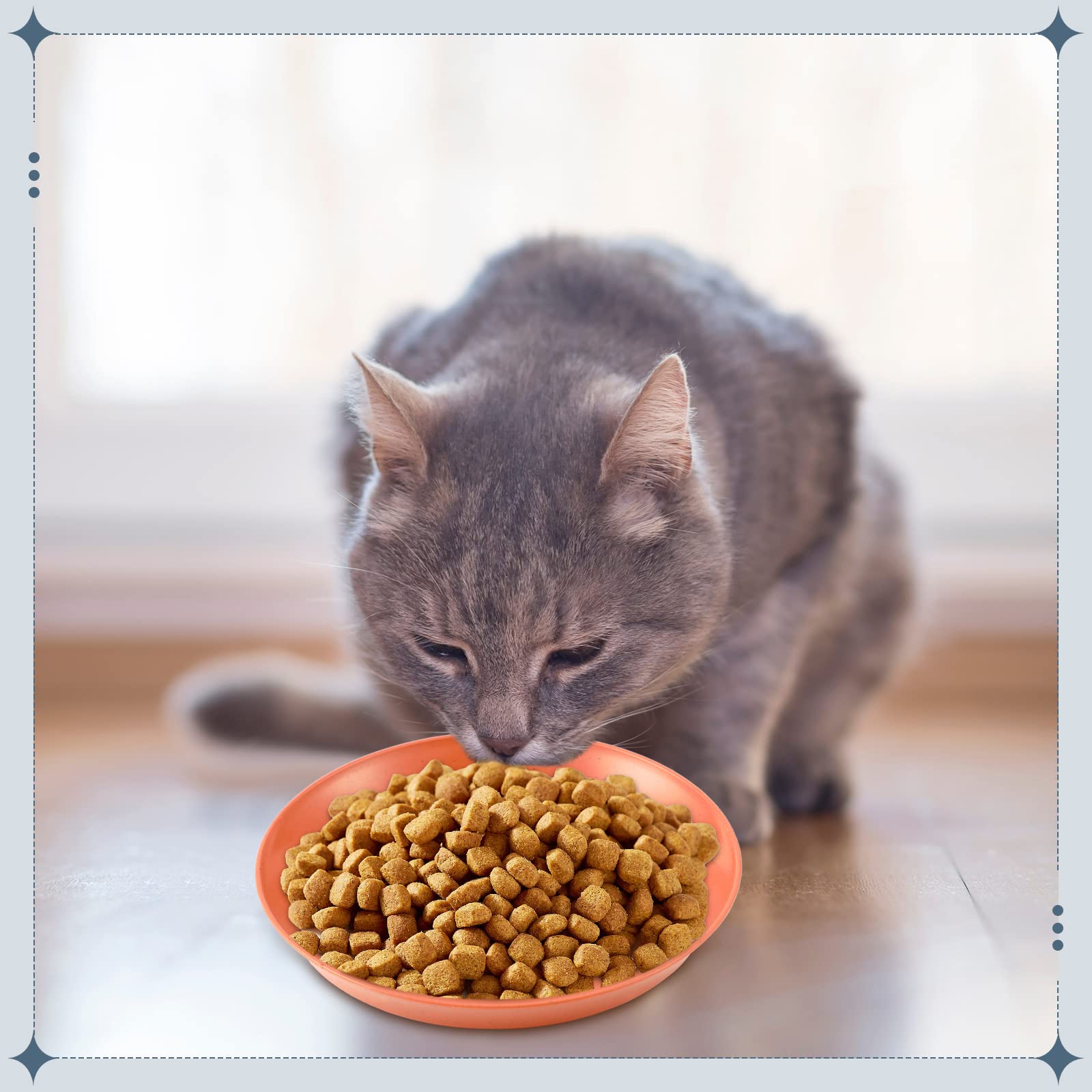 Gerrii dishwasher-safe cat bowls simplify post-meal cleanup