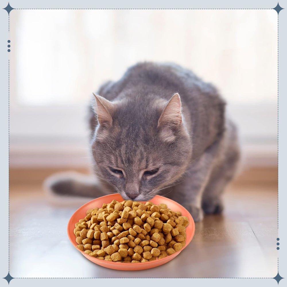 Gerrii dishwasher-safe cat bowls simplify post-meal cleanup