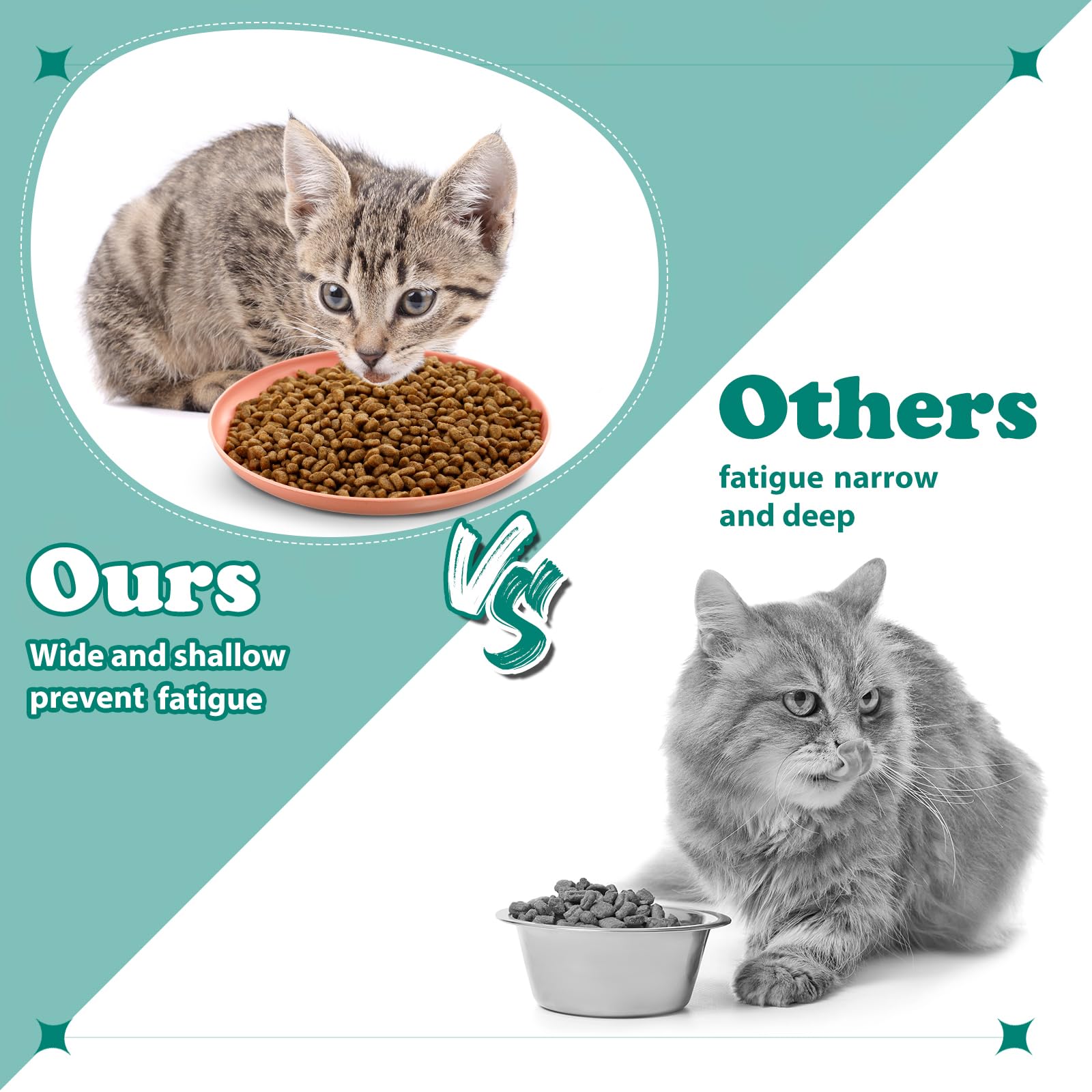 Gerrii kittens short-legged cat dish in use during wet and dry meals.