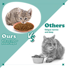 Gerrii kittens short-legged cat dish in use during wet and dry meals.
