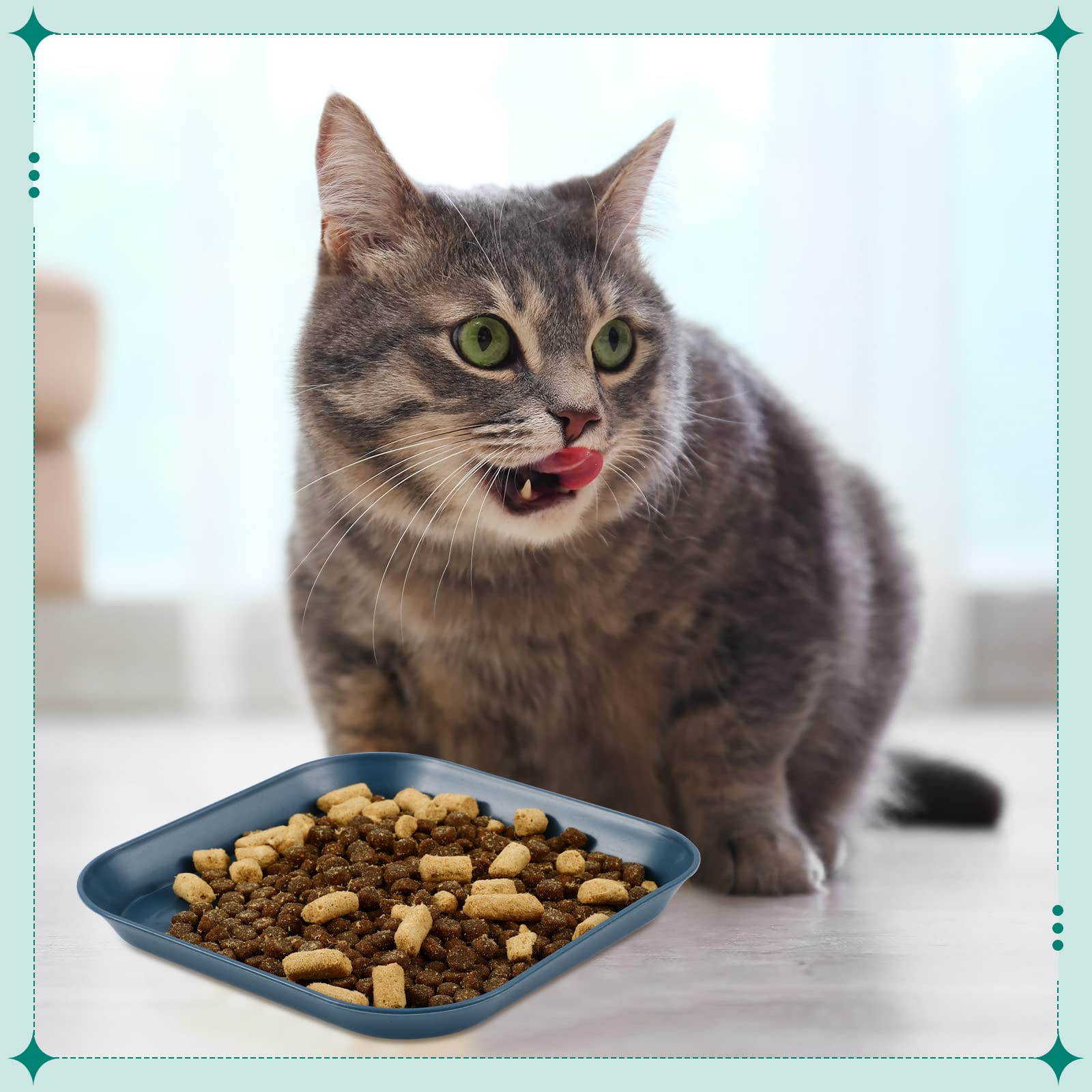 Gerrii 12-piece wheat-straw cat bowls set for kittens and short-legged cats