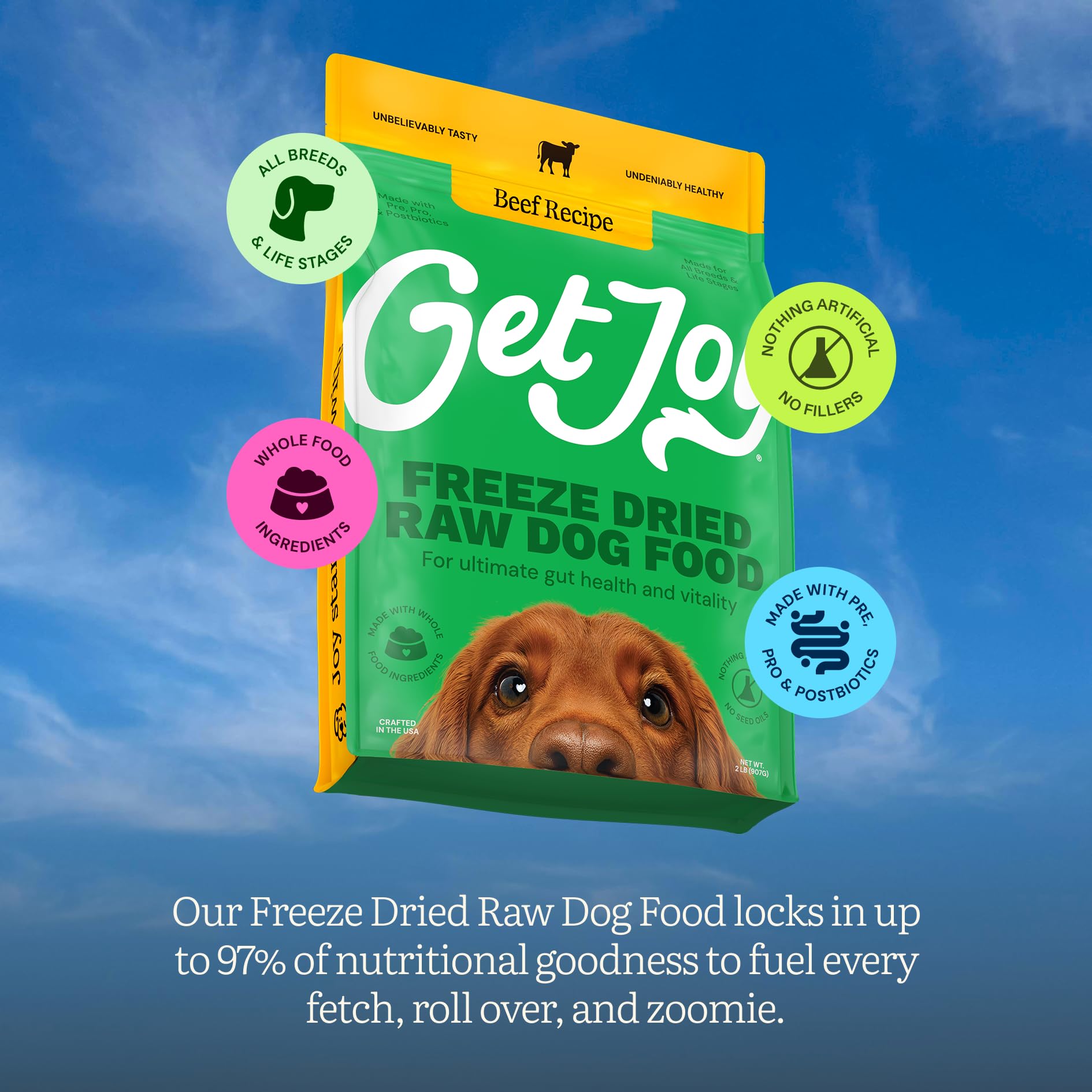 Get Joy 16oz bag packaging front view.