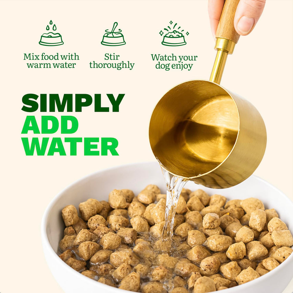 Get Joy All breeds and ages feeding option image.