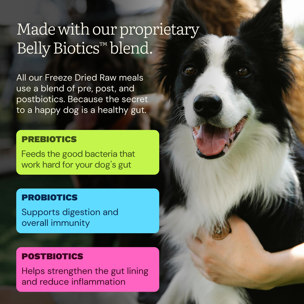 Get Joy Topper and mixer serving guidance over kibble.