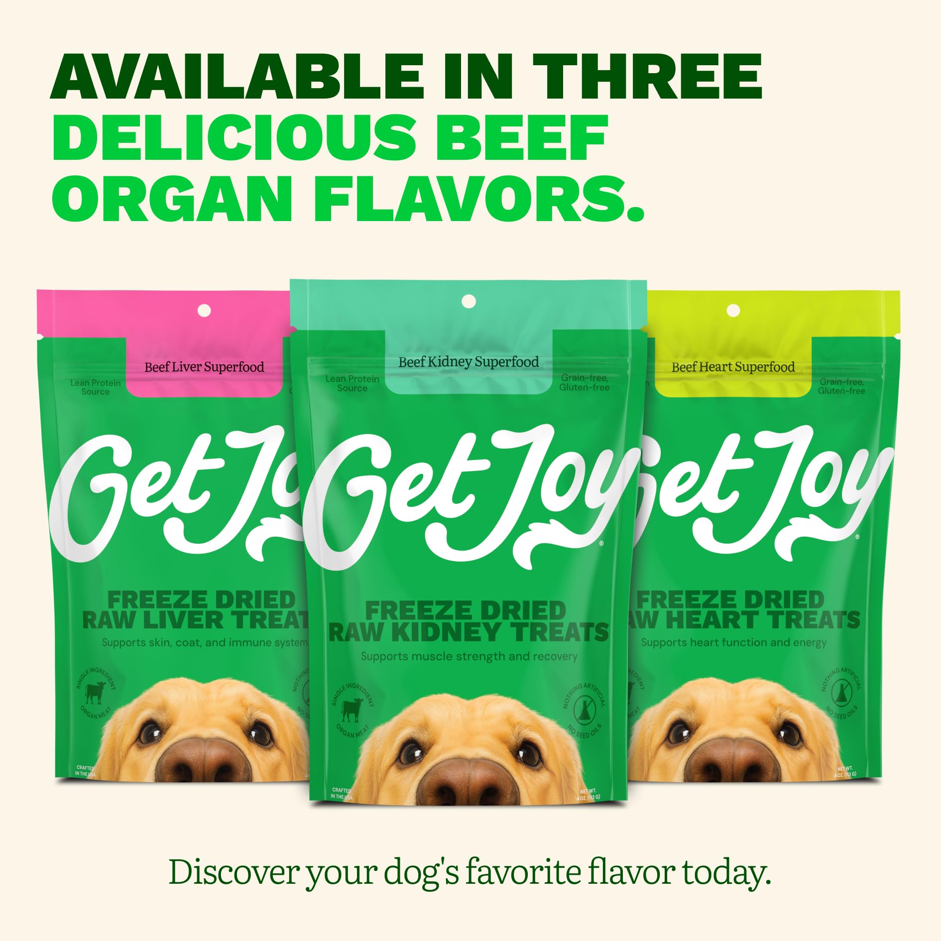 Get Joy dog owner using treats during obedience training session