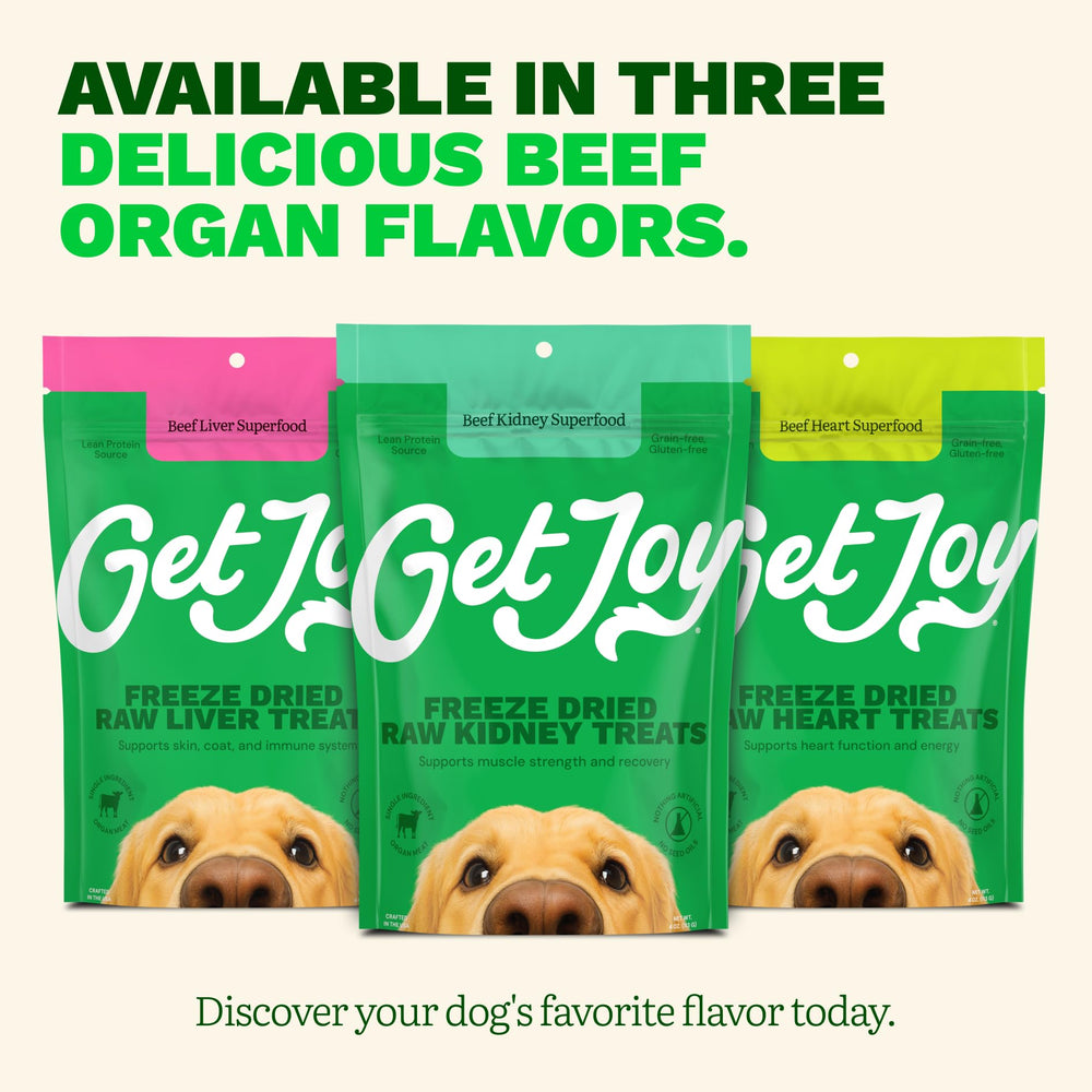 Get Joy dog owner using treats during obedience training session