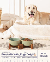 Getstar 30 oz ceramic bowls hold ample portions for small to medium pets