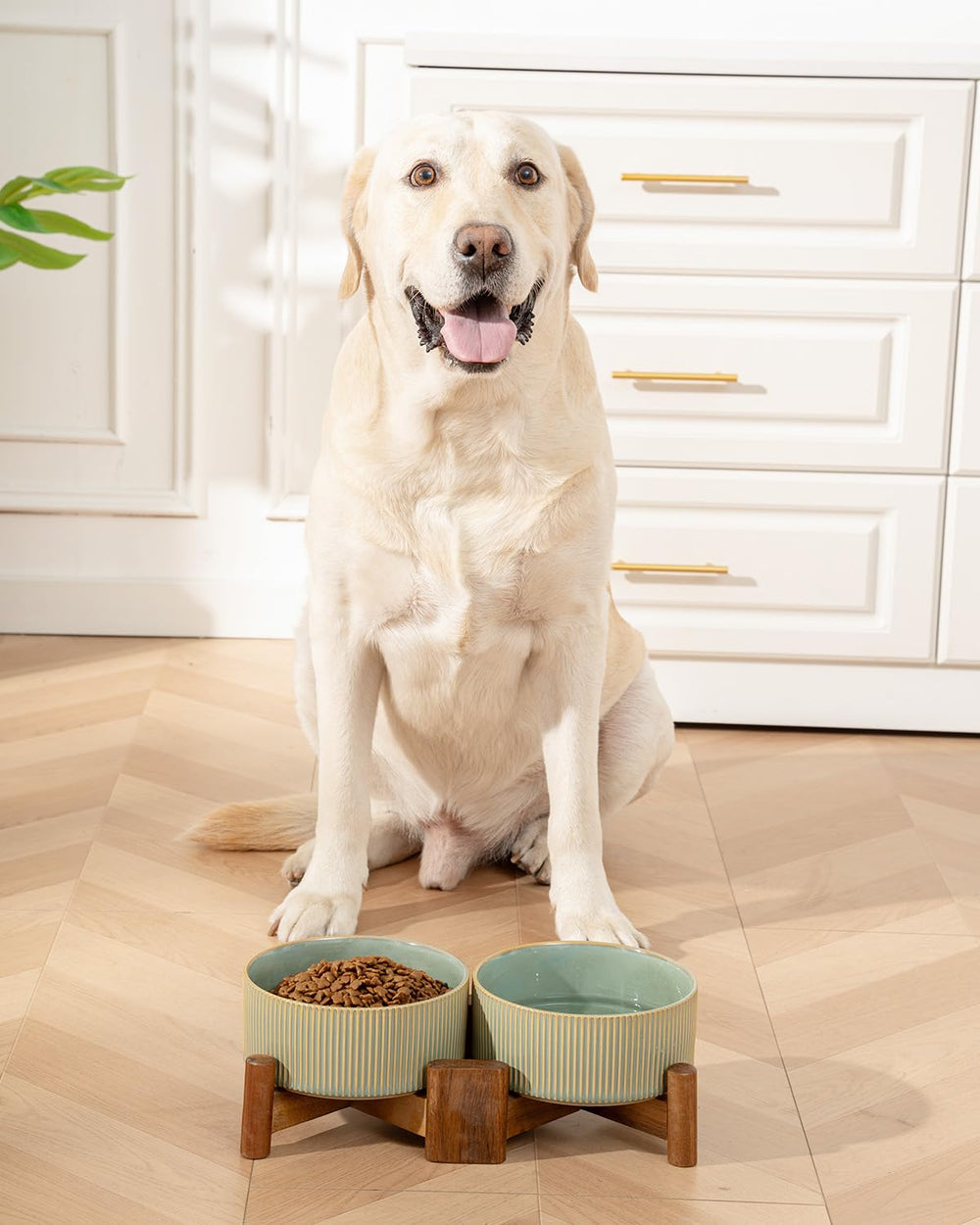 Getstar adjustable-height stand supports ergonomic feeding across different postures