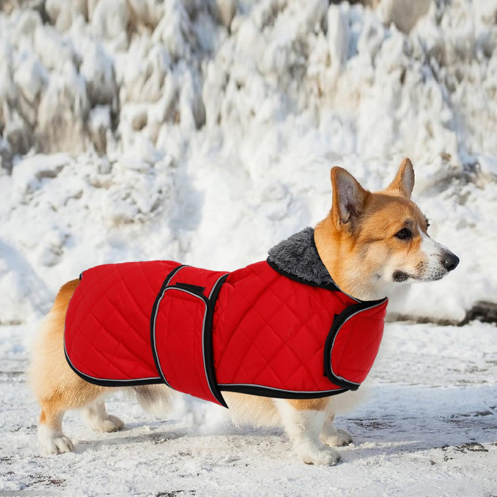 Geyecete Corgi Sweater red color for visibility and style.