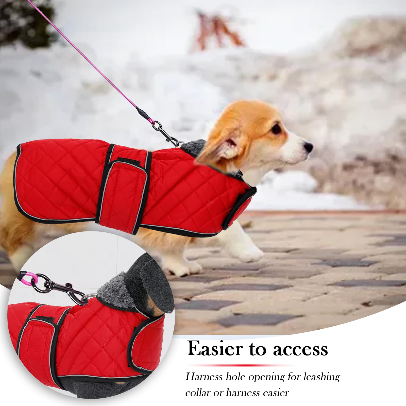 Geyecete Corgi Sweater with wider shoulder and thicker chest for active, muscular dogs.