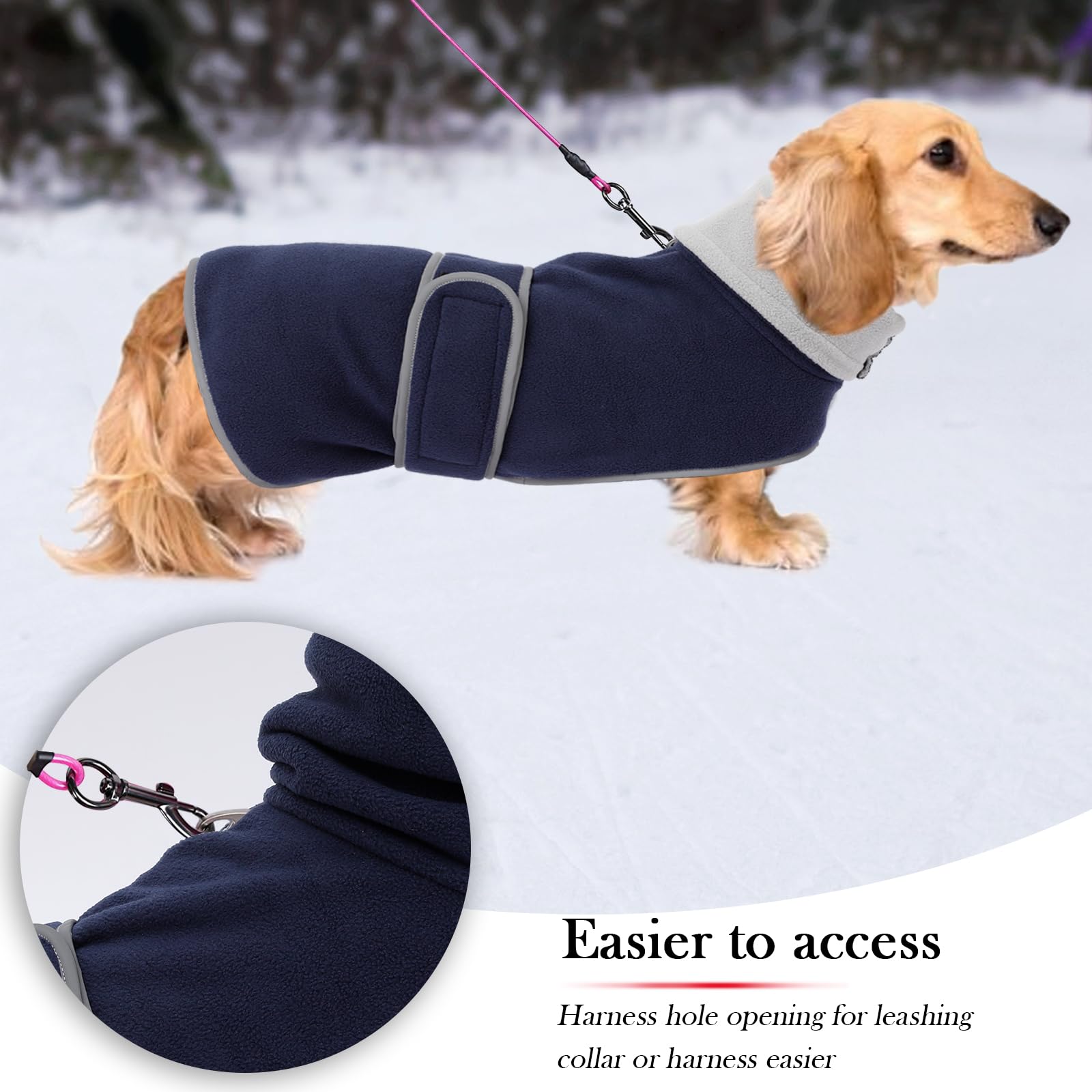 Geyecete dachshund coat back view illustrates secure outer fabric protection.