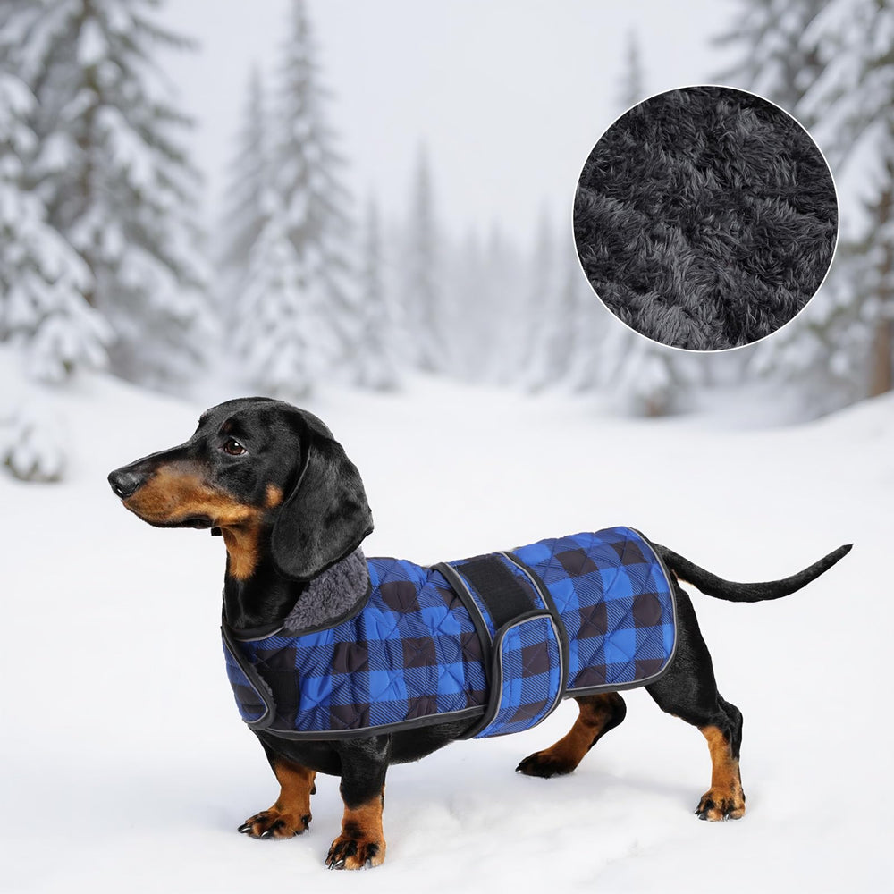 Geyecete dachshund coat size guide image helps pick the right size.