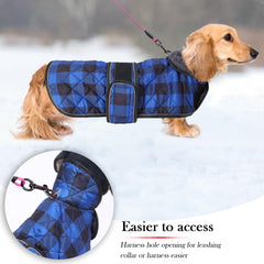 Geyecete dachshund coat with warm fleecy lining delivers cozy warmth.