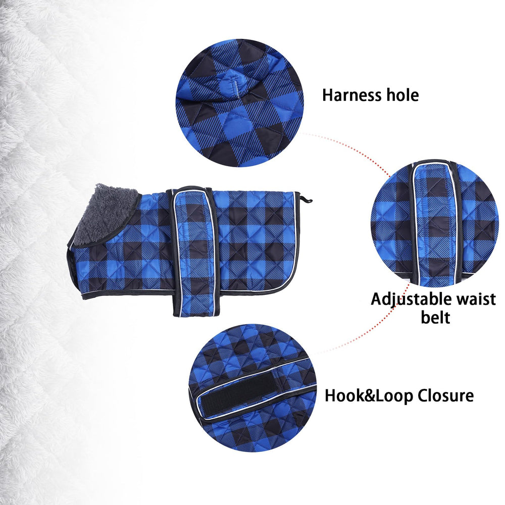 Geyecete dachshund coat back view shows reflective piping for visibility.