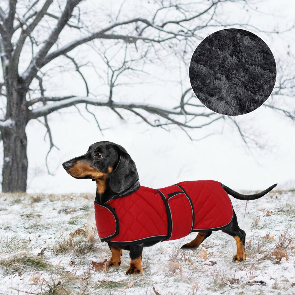 Geyecete dachshund coat waterproof fabric provides all-weather shelter outdoors.