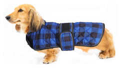 Geyecete dachshund coat front view with waterproof exterior for wet walks.