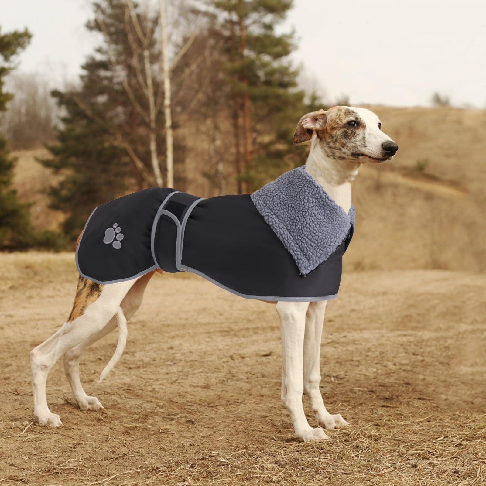 Geyecete dog coat suitable for outdoor and indoor wear on chilly days and events.