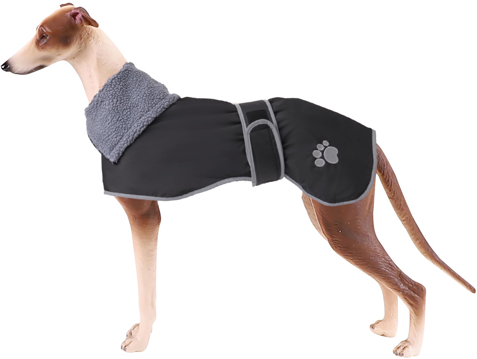 Geyecete dog winter coat with lamb velvet inside keeps Greyhounds warm during cold walks.