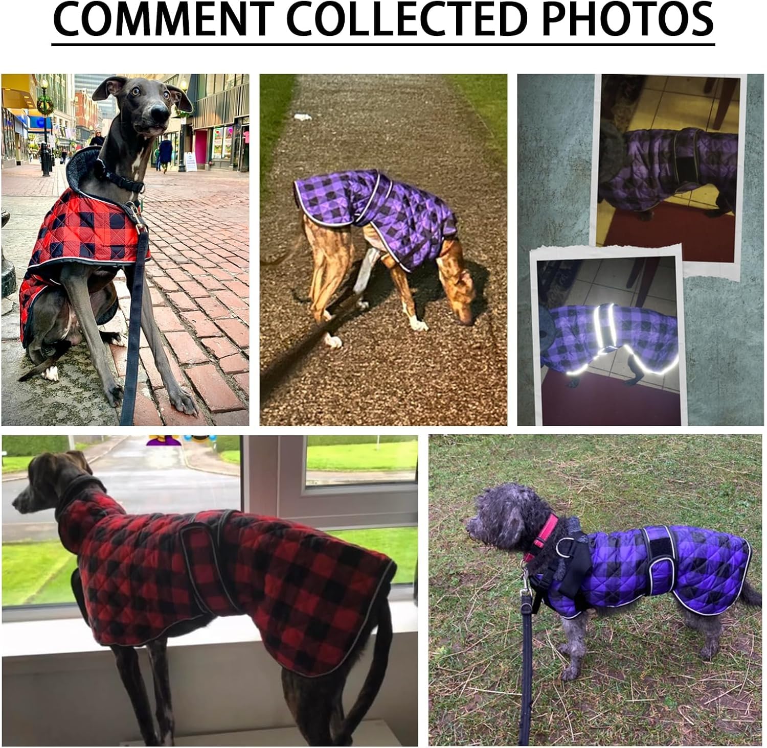 Geyecete greyhound coat easy-on design for quick dressing