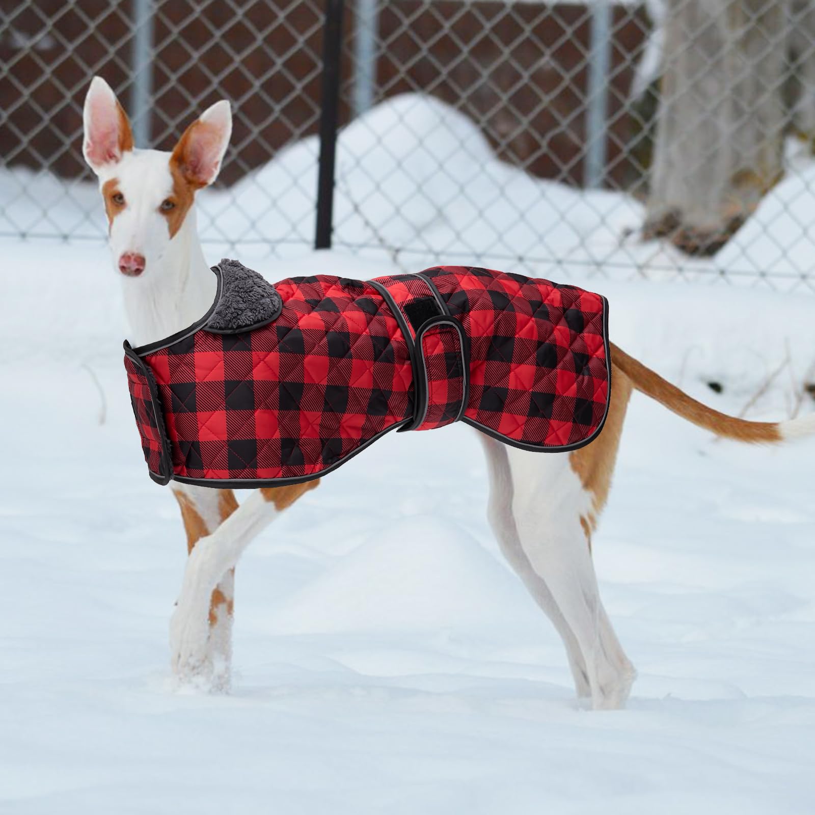 Geyecete greyhound coat size guide helps find the right fit