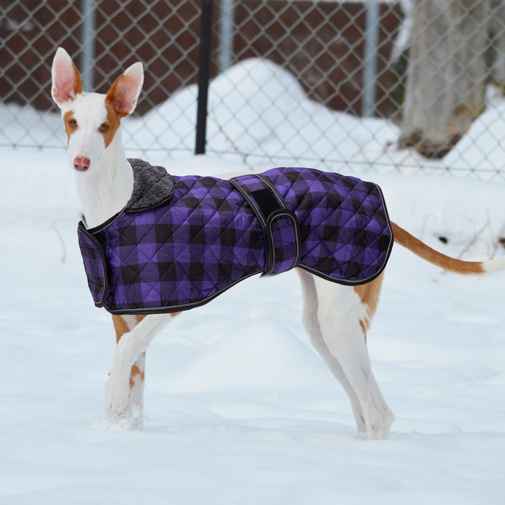 Geyecete size-chart guide to ensure the right fit for sight hounds