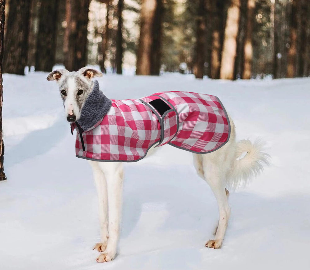 Geyecete size guide image helps pick the right breed-based fit.