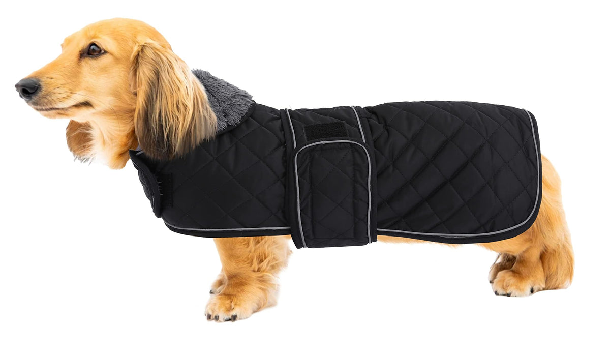 Geyecete warm-thermal-dachshund-coat front view for cozy cold-weather walks