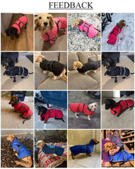 Geyecete dachshund coat back view shows full coverage in red for chilly days.