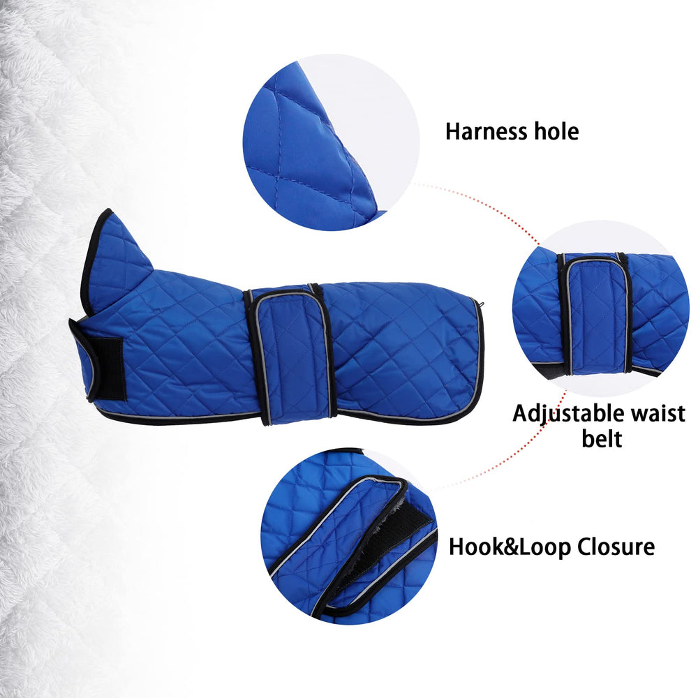 Geyecete dachshund coat blue side view showing adjustable bands for a secure fit.